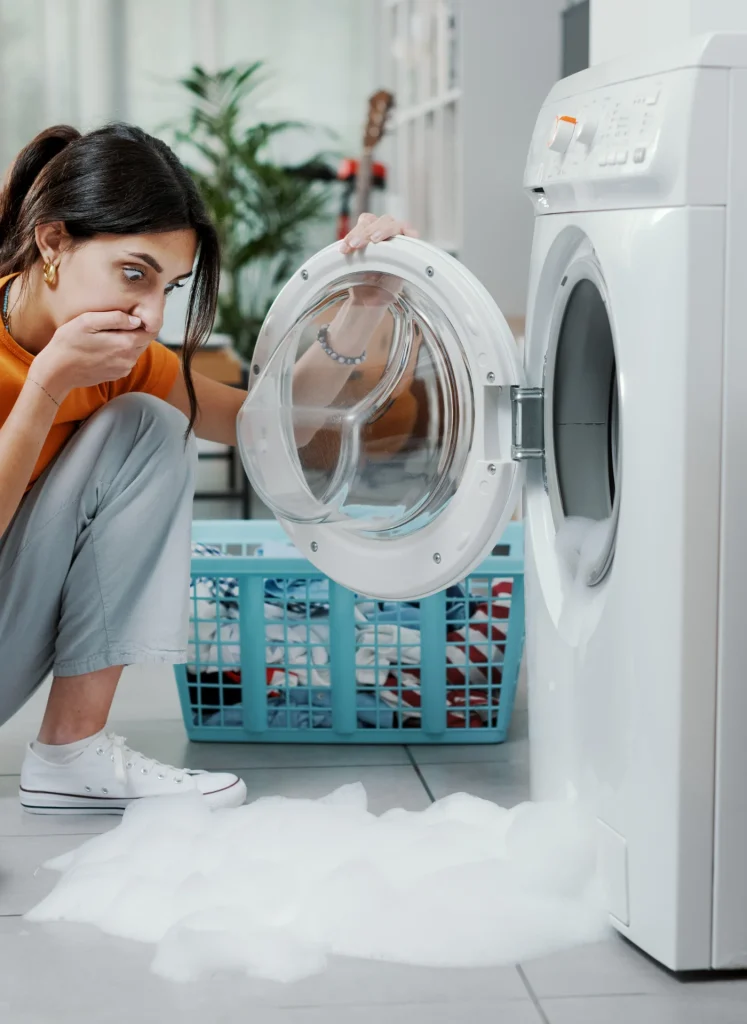 Washing Systems professional setup