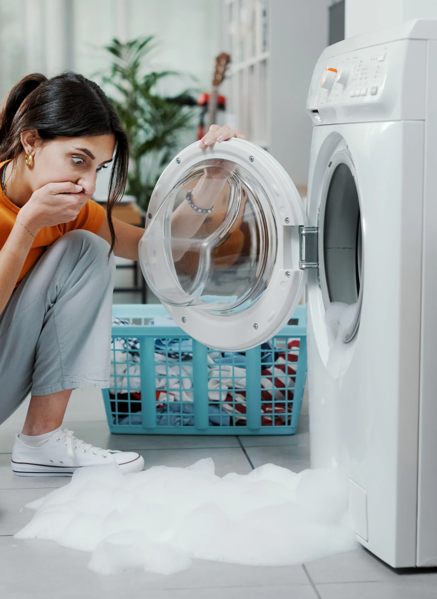 Washing Systems professional setup