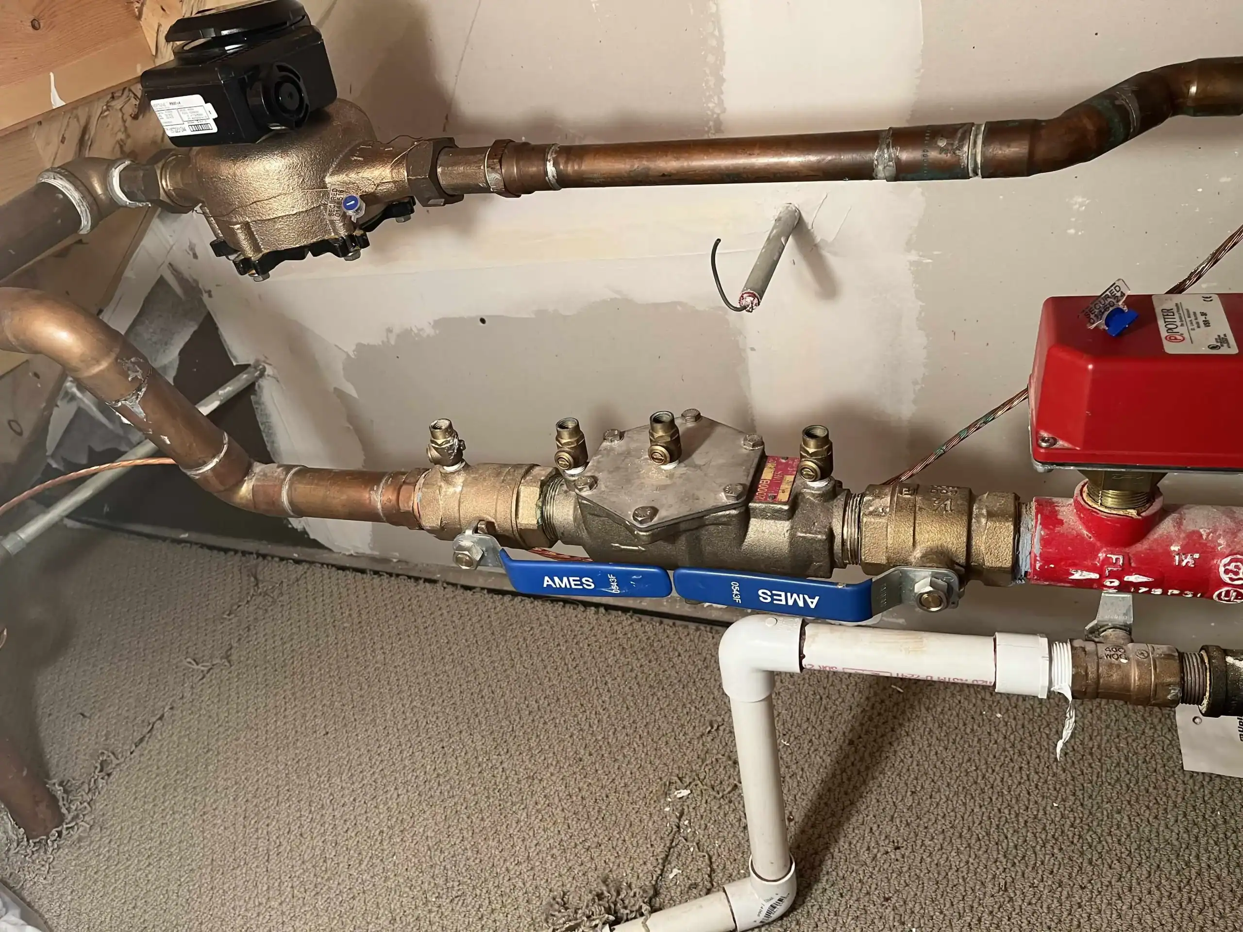 backflow-main-water-shut-off